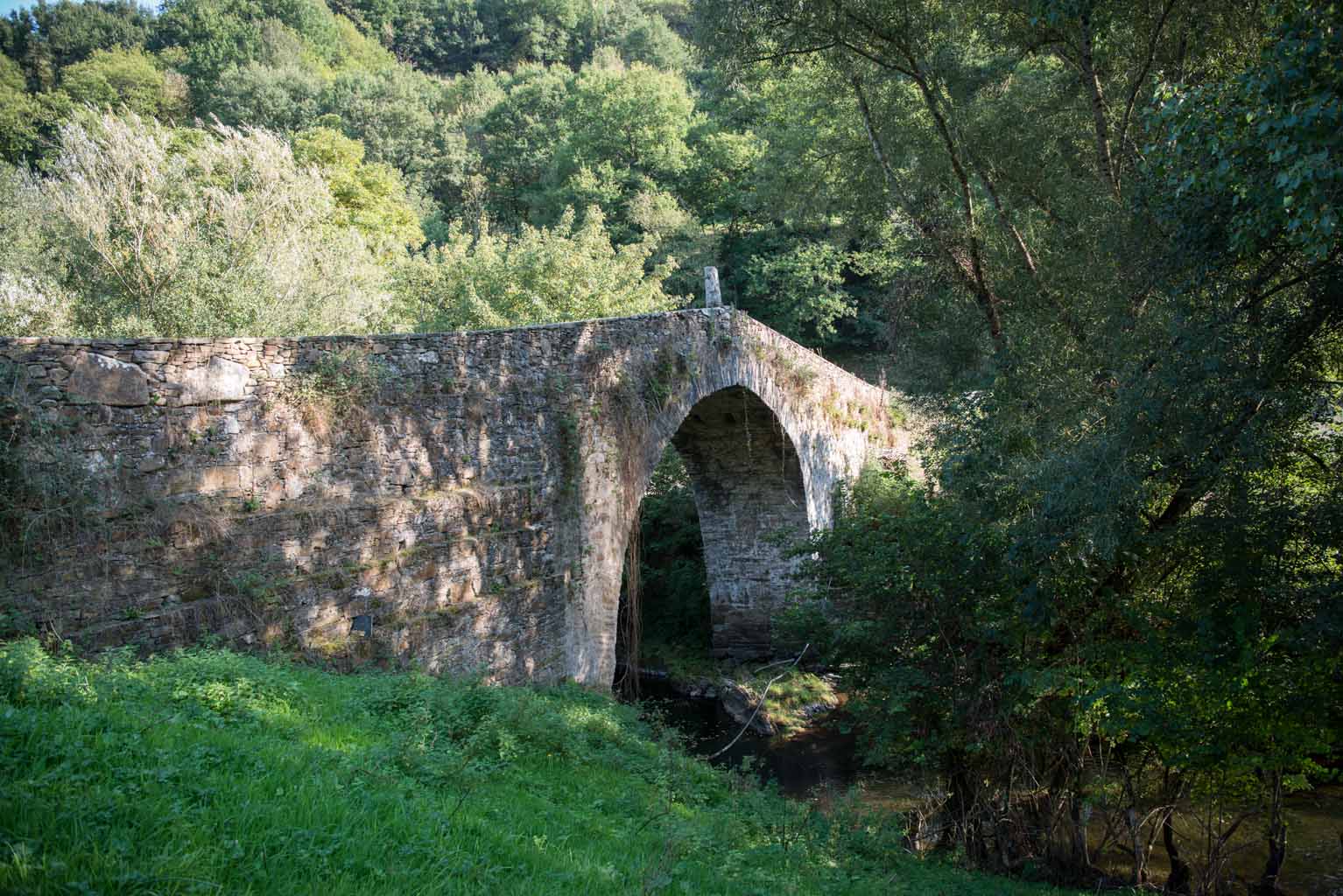 Ponte Romano de POntes de Gatín_2